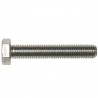 M8 X 55 Setscrews (DIN 933)