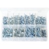 ASSORTED COUNTERSUNK POZI SELF TAPPING SCREWS (550)
