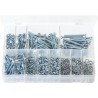 ASSORTED (METRIC) MACHINE SCREWS/NUTS/WASHERS (840)
