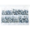 ASSORTED THREADED INSERTS (REGULAR) (250)