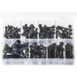 ASSORTED (METRIC) BLACK SOCKET CAP HEAD SCREWS (100)