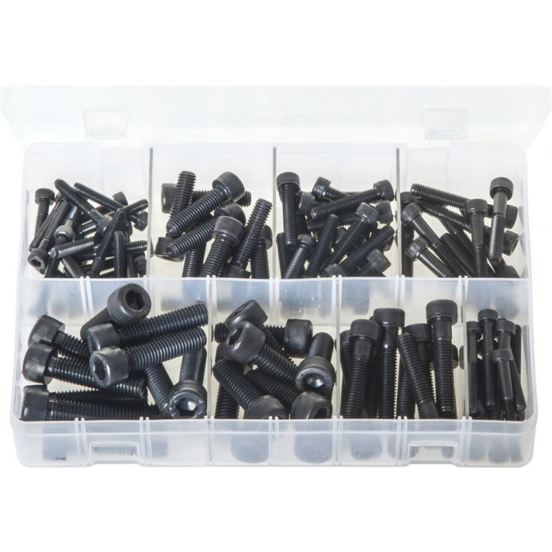 ASSORTED (METRIC) BLACK SOCKET CAP HEAD SCREWS (100)