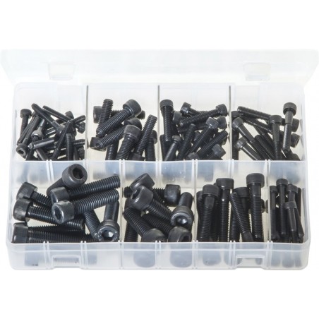 ASSORTED (METRIC) BLACK SOCKET CAP HEAD SCREWS (100)