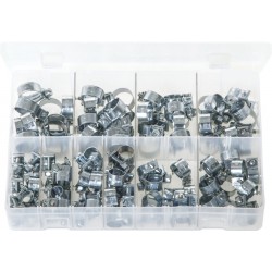 ASSORTED MINI HOSE CLIPS (100)