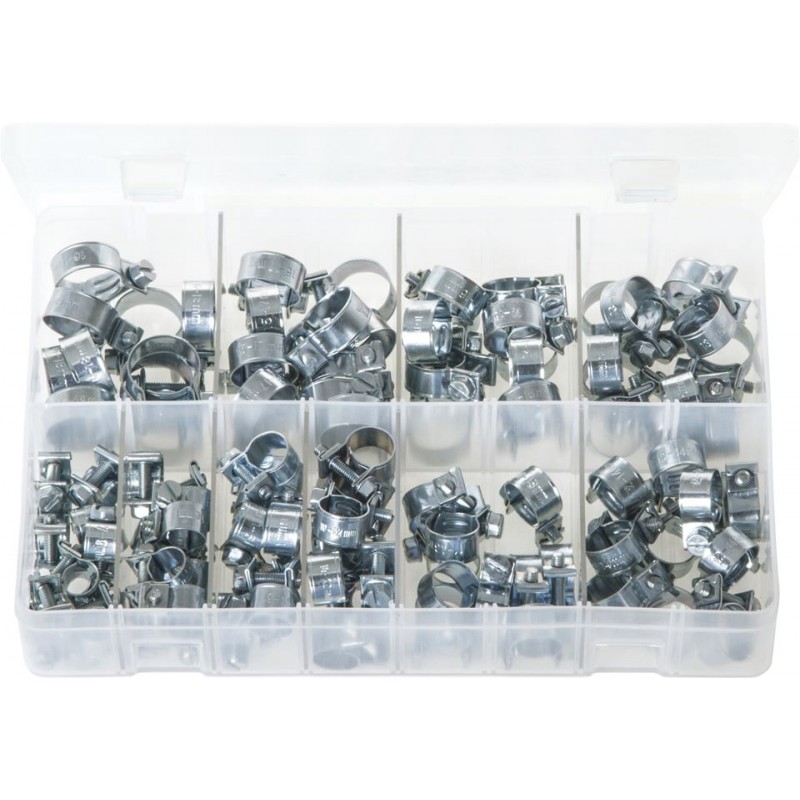 ASSORTED MINI HOSE CLIPS (100)