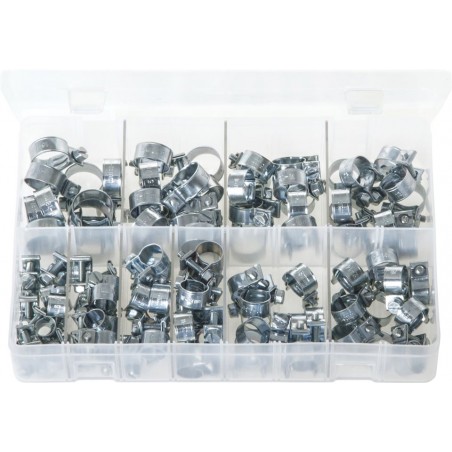 ASSORTED MINI HOSE CLIPS (100)