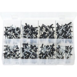 ASSORTED (BLACK) ALUMINIUM RIVETS (200)