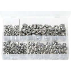 ASSORTED A2 ST/STEEL NUTS (250)