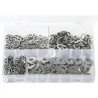 ASSORTED A2 ST/STEEL FLAT WASHERS (650)