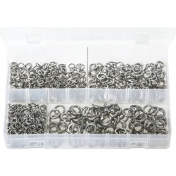 ASSORTED A2 ST/STEEL SPRING WASHERS (650)