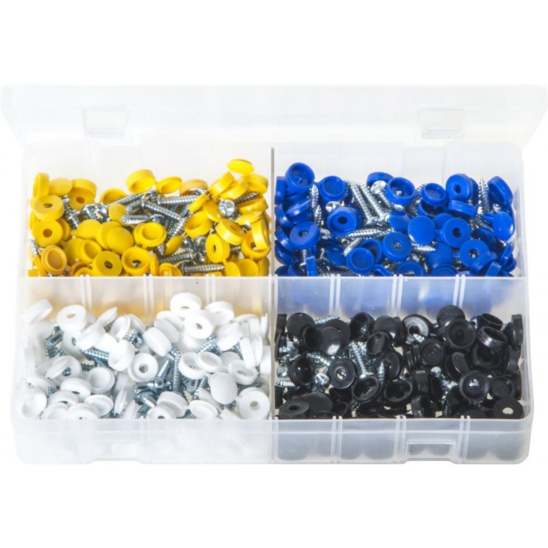 ASSORTED SECURITY NUMBER PLATE SCREWS (200)