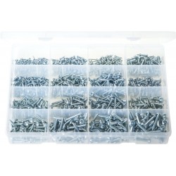 MAXI BOX' POZI PAN SELF TAPPING SCREWS (1150)