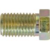 BRAKE NUTS (M10 X 1.25MM) (MALE) (FULL THREAD) (50)