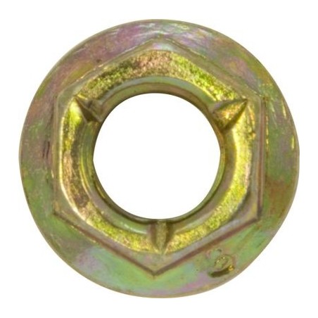 EXHAUST MANIFOLD NUTS (M10 X 1.25MM) (ZINC PLATED) (50)