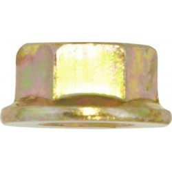 EXHAUST MANIFOLD NUTS (M10 X 1.25MM) (ZINC PLATED) (50)