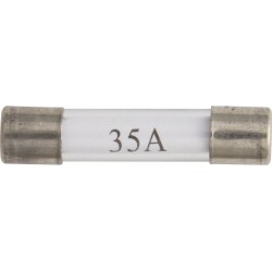 GLASS FUSES (25amp) (50)