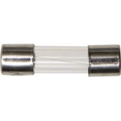 GLASS RADIO FUSES (1amp) (50)