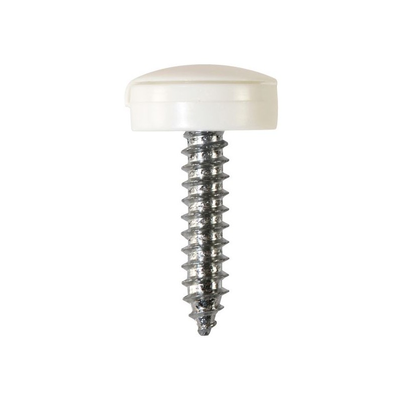 4.2 X 19mm NUMBER PLATE SCREWS/HINGED CAPS (W) (100)