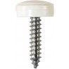 4.2 X 19mm NUMBER PLATE SCREWS/HINGED CAPS (W) (100)