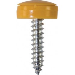 4.2 X 19mm NUMBER PLATE SCREWS/HINGED CAPS (Y) (100)