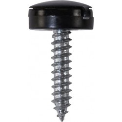 4.2 X 19mm NUMBER PLATE SCREWS/HINGED CAPS (BLA) 100