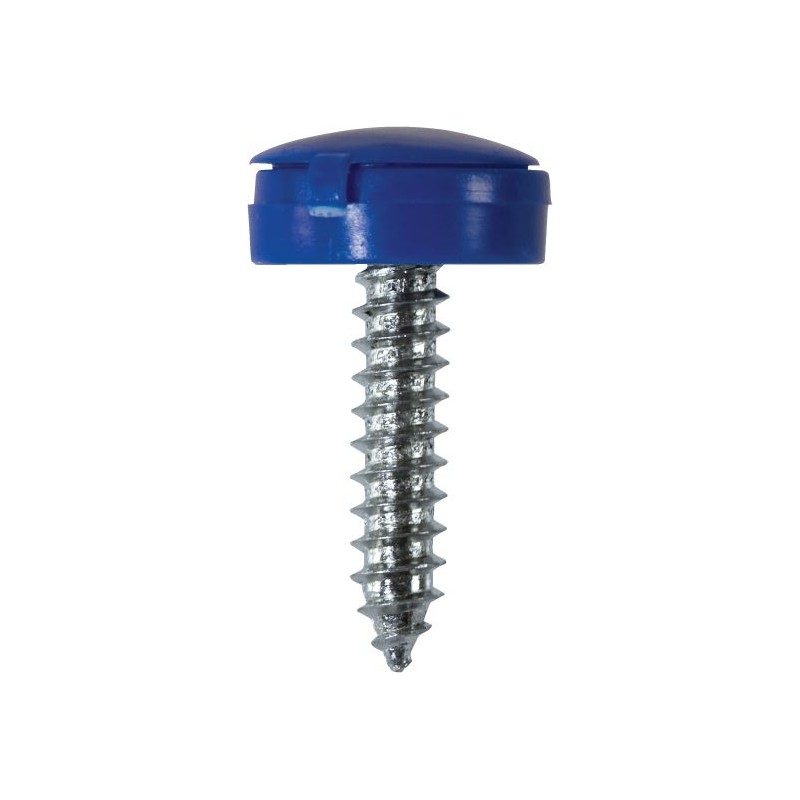 4.2 X 19mm NUMBER PLATE SCREWS/HINGED CAPS (BLU) 100