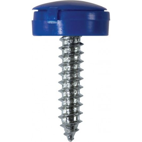 4.2 X 19mm NUMBER PLATE SCREWS/HINGED CAPS (BLU) 100