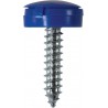 4.2 X 19mm NUMBER PLATE SCREWS/HINGED CAPS (BLU) 100