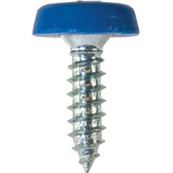 4.8 X 18mm NUMBER PLATE POLYTOP SCREWS (BLUE) (100)