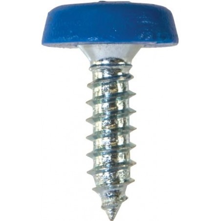 4.8 X 18mm NUMBER PLATE POLYTOP SCREWS (BLUE) (100)