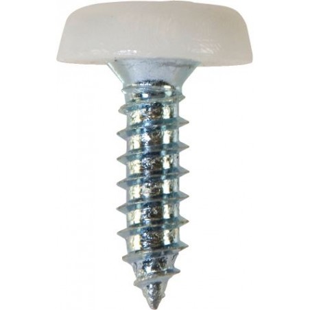 4.8 X 18mm NUMBER PLATE POLYTOP SCREWS (WHITE) (100)