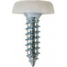 4.8 X 18mm NUMBER PLATE POLYTOP SCREWS (WHITE) (100)
