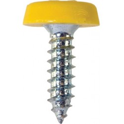 4.8 X 18mm NUMBER PLATE POLYTOP SCREWS (YELLO) (100)