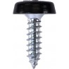 4.8 X 18mm NUMBER PLATE POLYTOP SCREWS (BLACK) (100)