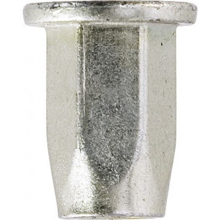 THREADED INSERTS (FULL HEX) (M5) (50)