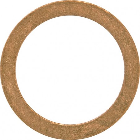 M6 X 12 X 1.0 COPPER SEALING WASHERS (100)