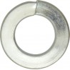 SPRING WASHERS (M27) (100)