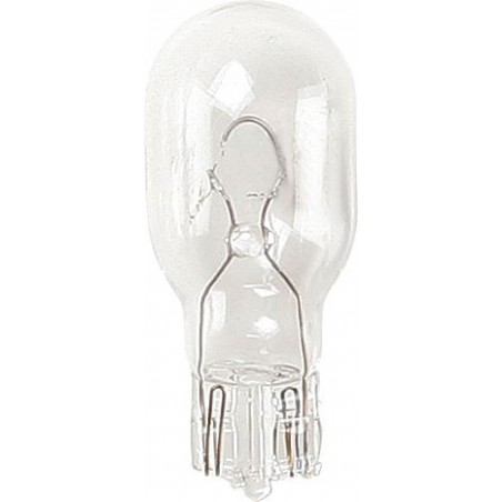 B510 (12v - 20w) AUTO BULBS (10)