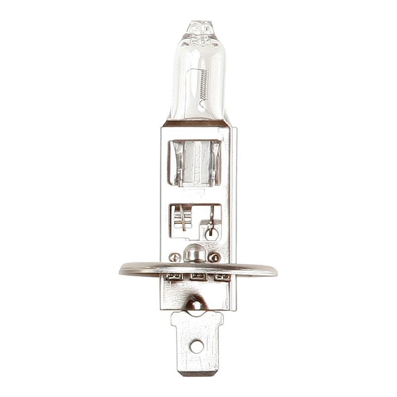 B448 (HALOGEN) (12v - 55w - H1) Beacon AUTO BULBS (10)