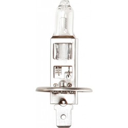B448 (HALOGEN) (12v - 55w - H1) Beacon AUTO BULBS (1)