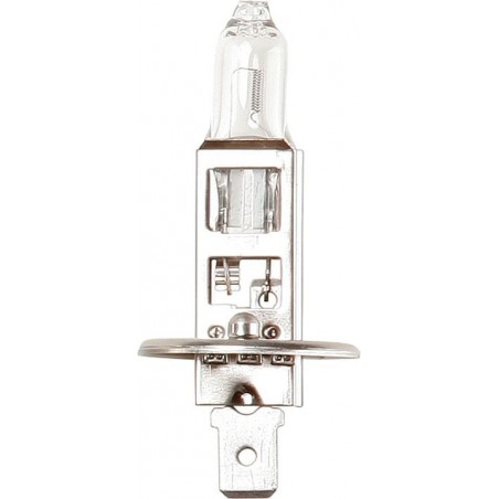 B448 (HALOGEN) (12v - 55w - H1) Beacon AUTO BULBS (1)