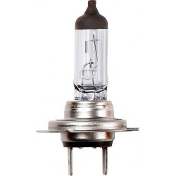 B467 (HALOGEN) (24v - 70w - H7) AUTO BULBS (10)