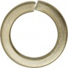 Metric A2 Stainless Steel Spring Washers