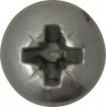 S/TAPPING SCREWS (PAN HEAD) (2.9 x 13mm) (200)