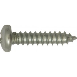 S/TAPPING SCREWS (PAN HEAD) (2.9 x 13mm) (200)