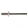 3.2 X 10mm Standard Rivets