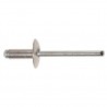 4.8 X 24mm Standard Rivets - Large Head