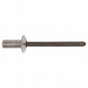 4.8 x 9.5mm Sealed Rivets