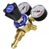 Oxygen Single Stage Regulator - 2 gauge