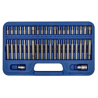 42pc Sealey Torx/Hex/Spline Bit Set